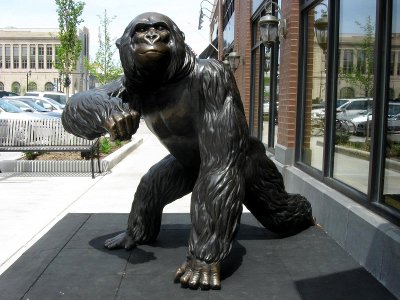 Gorilla