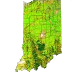 Indiana Plan Logo